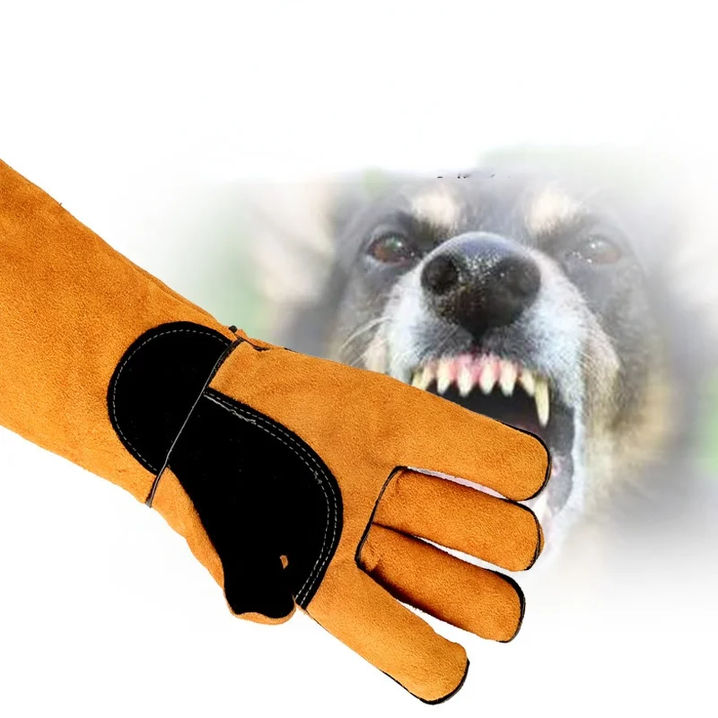 Leatherwork Training - Luvas para animais de estimação couro