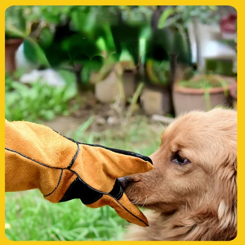 Luvas para animais de estimaçã - Leatherwork Training avaliação e preço