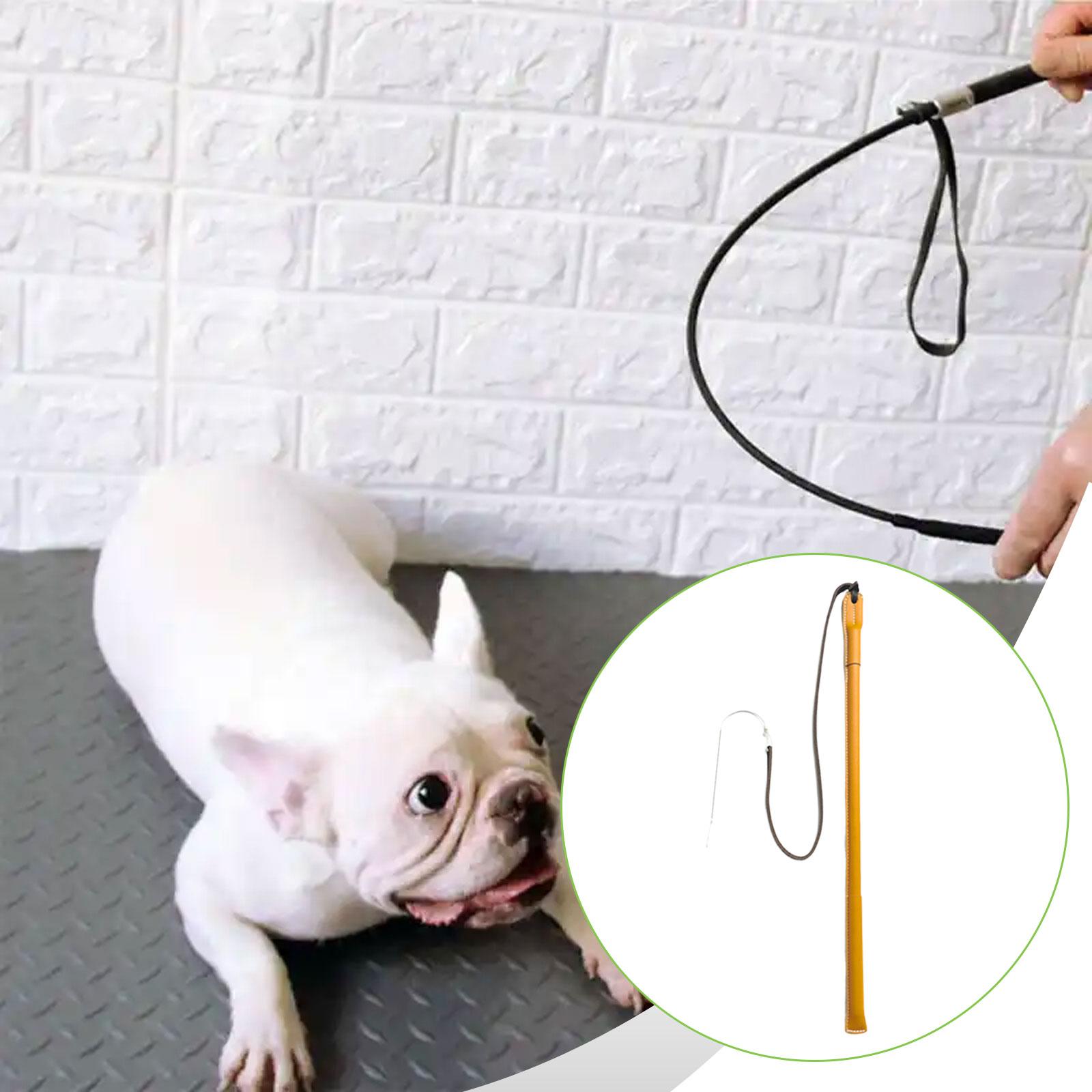 Bastão de Treinamento para Cãe - Leatherwork Training avaliação e preço