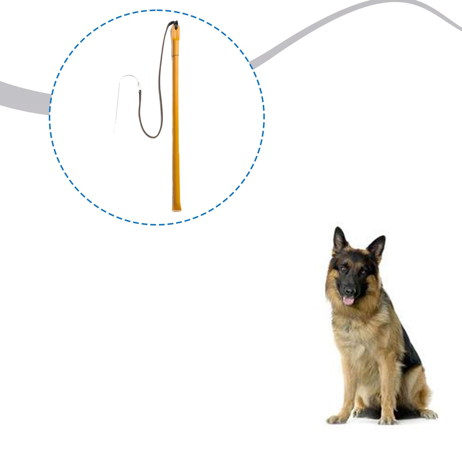 Bastão de Treinamento para Cãe - Leatherwork Training avaliação e preço