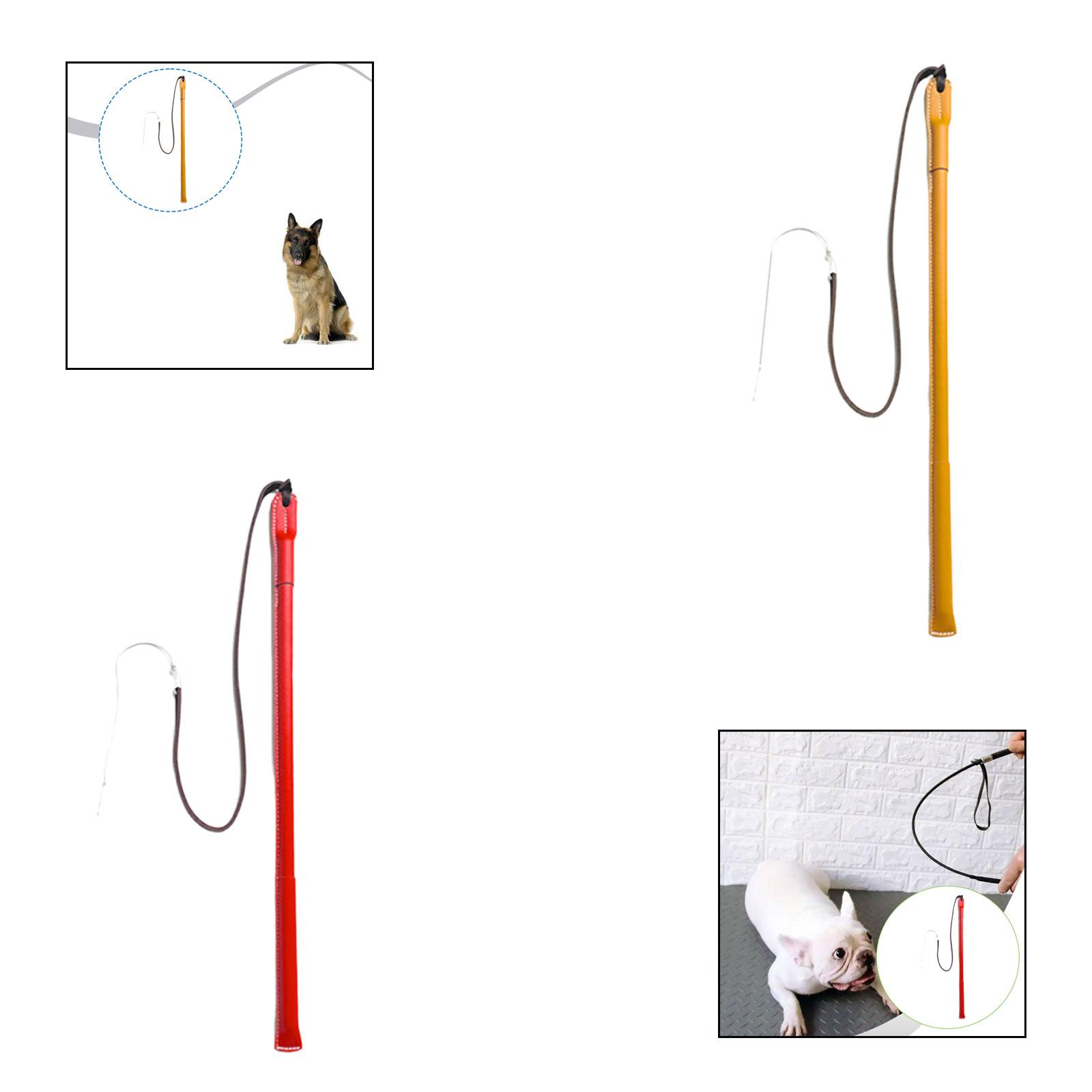 Bastão de Treinamento para Cãe - Leatherwork Training avaliação e preço