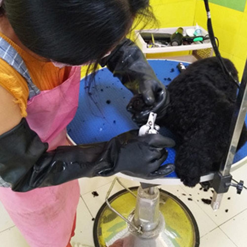 Luvas para animais de estimaçã - Leatherwork Training avaliação e preço